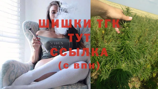 прущий лед Горняк