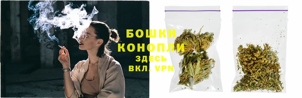прущий лед Горняк