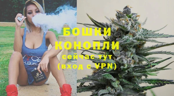 прущий лед Горняк