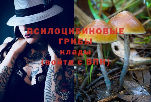 трава Горнозаводск
