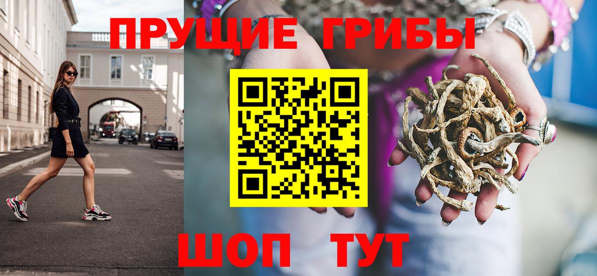 дарнет шоп  Галлюциногенные грибы Psilocybine cubensis  Вход с VPN  Гусь-Хрустальный 